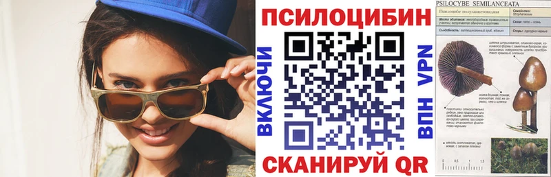 mega как зайти  Югорск  Псилоцибиновые грибы прущие грибы 
